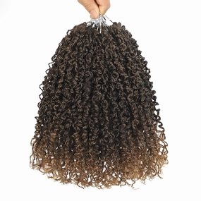 10 Packs Yanky Twist Crochet Braids Hair 10 Inch Pre-Twisted Passion Twist Crochet Hair, Fluffy Spring Mini Twist Pre Looped Passion Twist Hair Crochet Braiding Hair T27