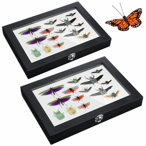 2 Pcs Large Insect Display Cases with Clear Top 12.2 x 8.66 x 1.57 in Butterfly Display Collection Box with EVA Foam Pinning Board Insect Specimen Storage Tool Case Shadow Box(Black)