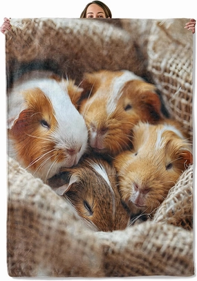 Guinea Pig Gifts, Guinea Pig Family Blanket for Adults Women Kids, 40x50 in, Cozy Fuzzy Warm Soft Throw Blankets for Bedroom, Camping, Couch, Decor