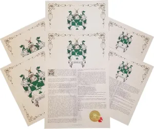 Lowe - Last Name Coat of Arms, Family Crest and History Print Set (2 Pack)