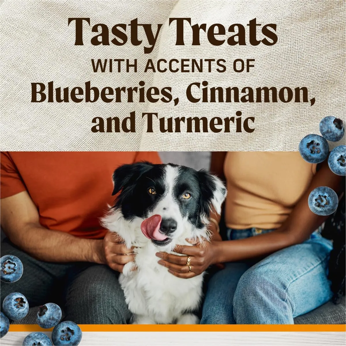 Merrick Healthy Bites Grain Free Dog Treats, Soft Treats with Bone Broth for Dogs, Chicken and Bone Broth Recipe - 16 oz. Pouch