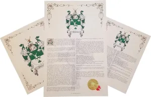 Mr Sweets Weide - Coat of Arms, Crest & History 3 Print Combo - Surname Origin: German Germany
