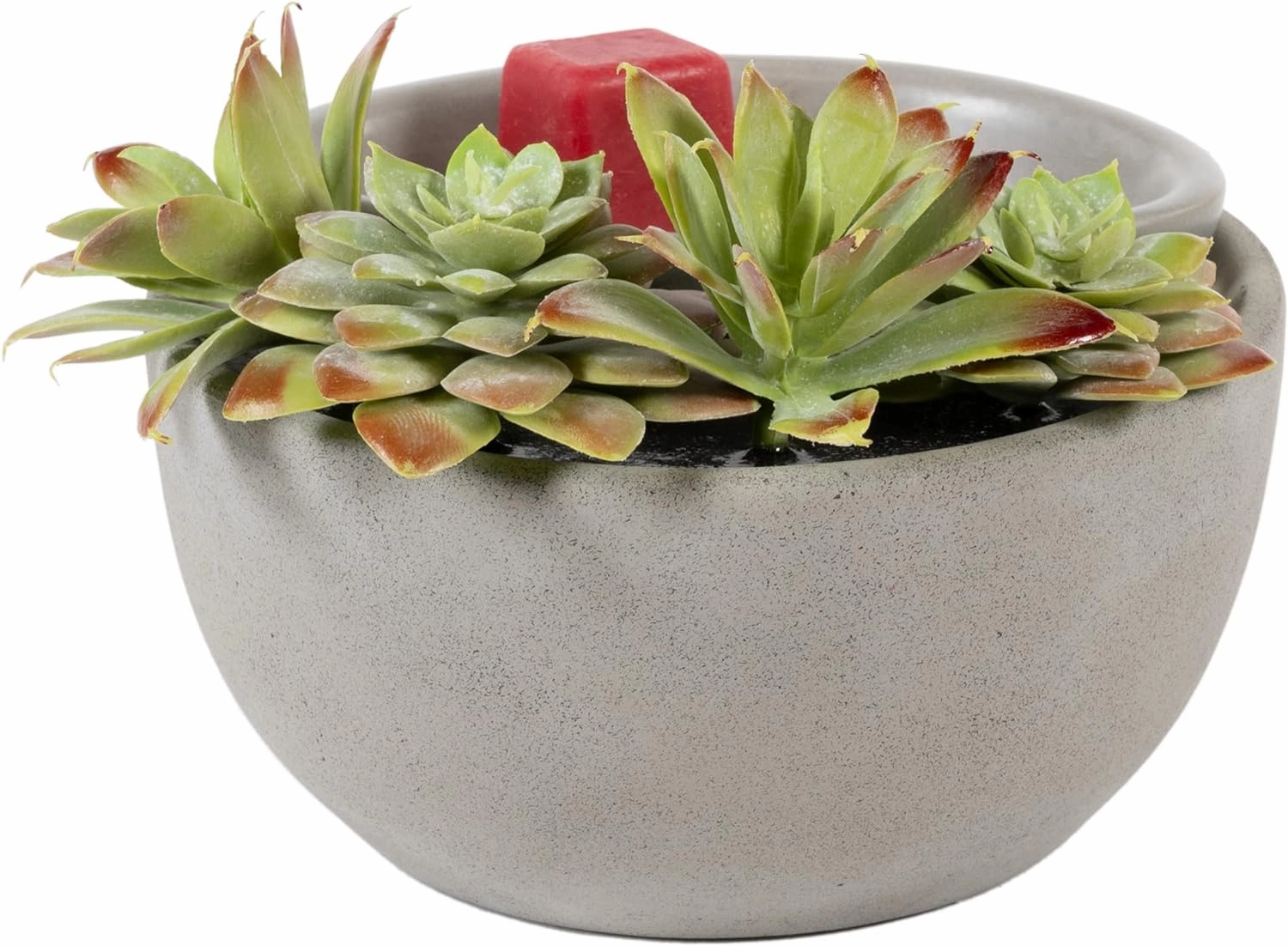 Scentsationals Wax Warmer Boho Collection, Scented Wax Cube Melter, Electric Fragrance and Oil Burner, Wickless Candle Air Freshener, Indoor Home Decor, House Decoration Year Round (Succulent Bowl)