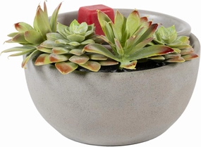 Scentsationals Wax Warmer Boho Collection, Scented Wax Cube Melter, Electric Fragrance and Oil Burner, Wickless Candle Air Freshener, Indoor Home Decor, House Decoration Year Round (Succulent Bowl)